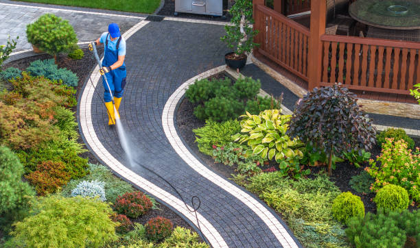 Best House Pressure Washing  in Chillum, MD