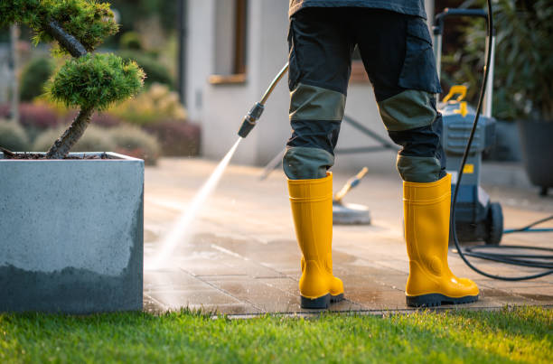 Best Roof Pressure Washing  in Chillum, MD